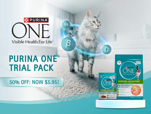 Purina website shop